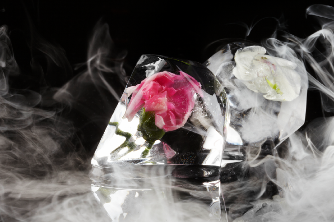 Diamond Shaped Trays for Clearsphere System - The Whiskey Ball